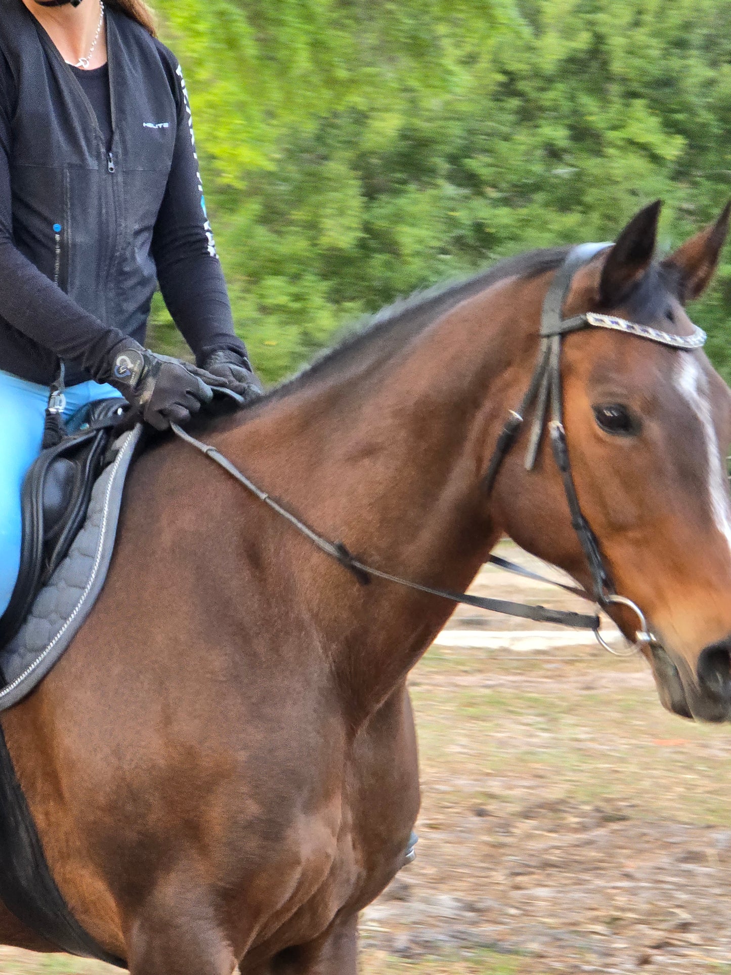 Ranger Riding Gloves