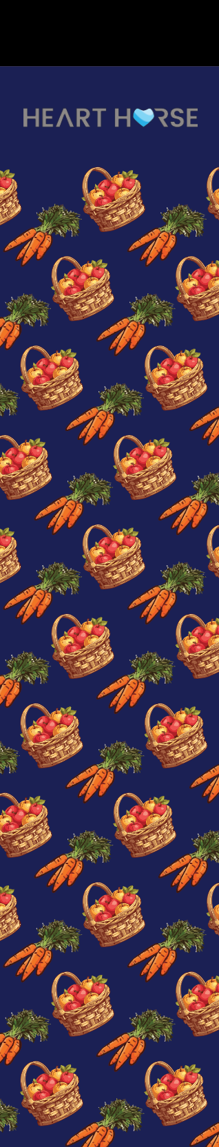 Dreamers & Schemers Boot Socks