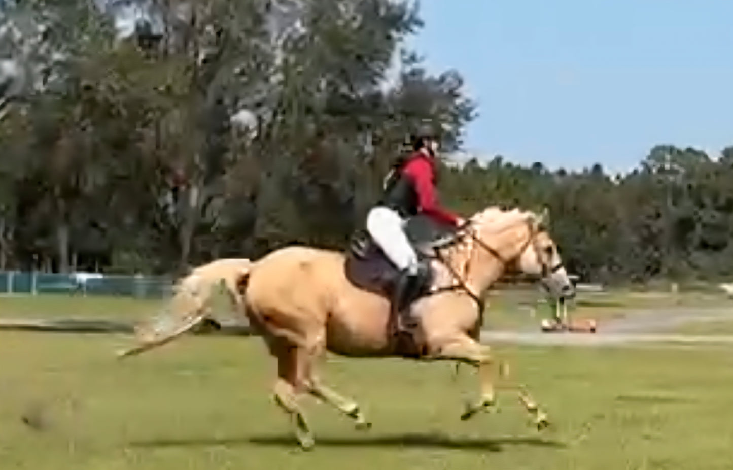 Llewellyn LS Summer Shirt