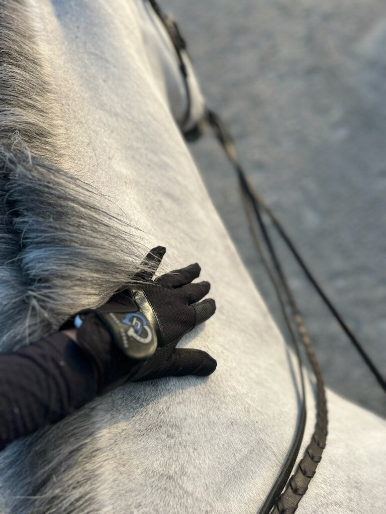 Ranger Riding Gloves