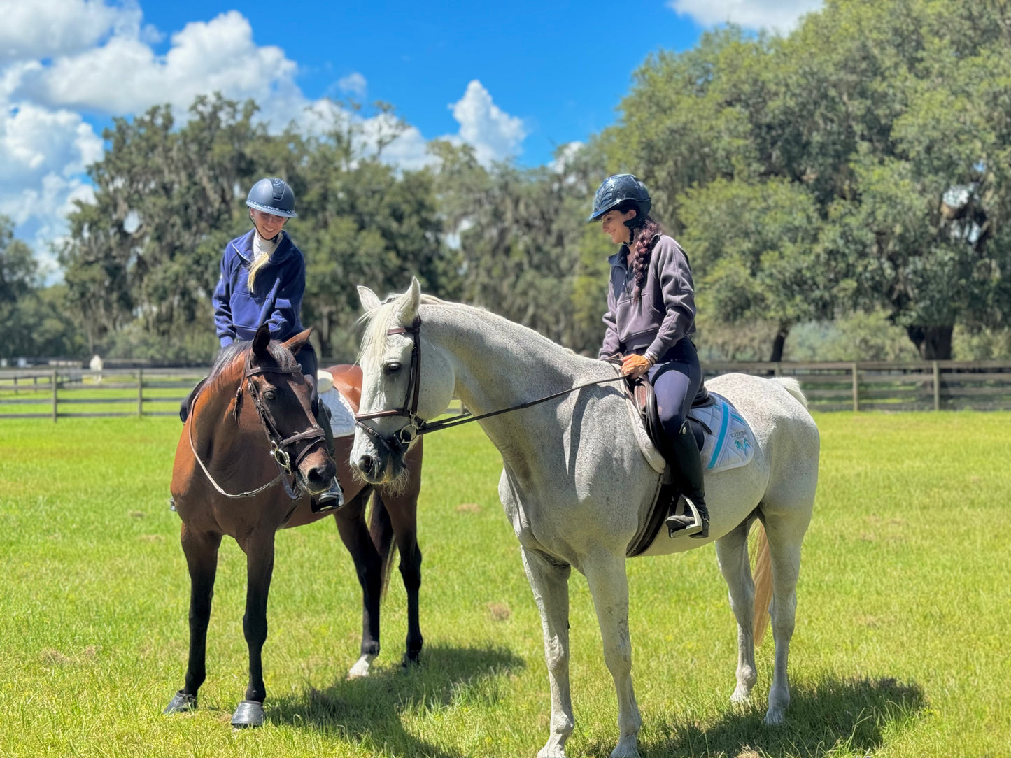 Malcolm Fleece Lined Cropped Sweatshirt